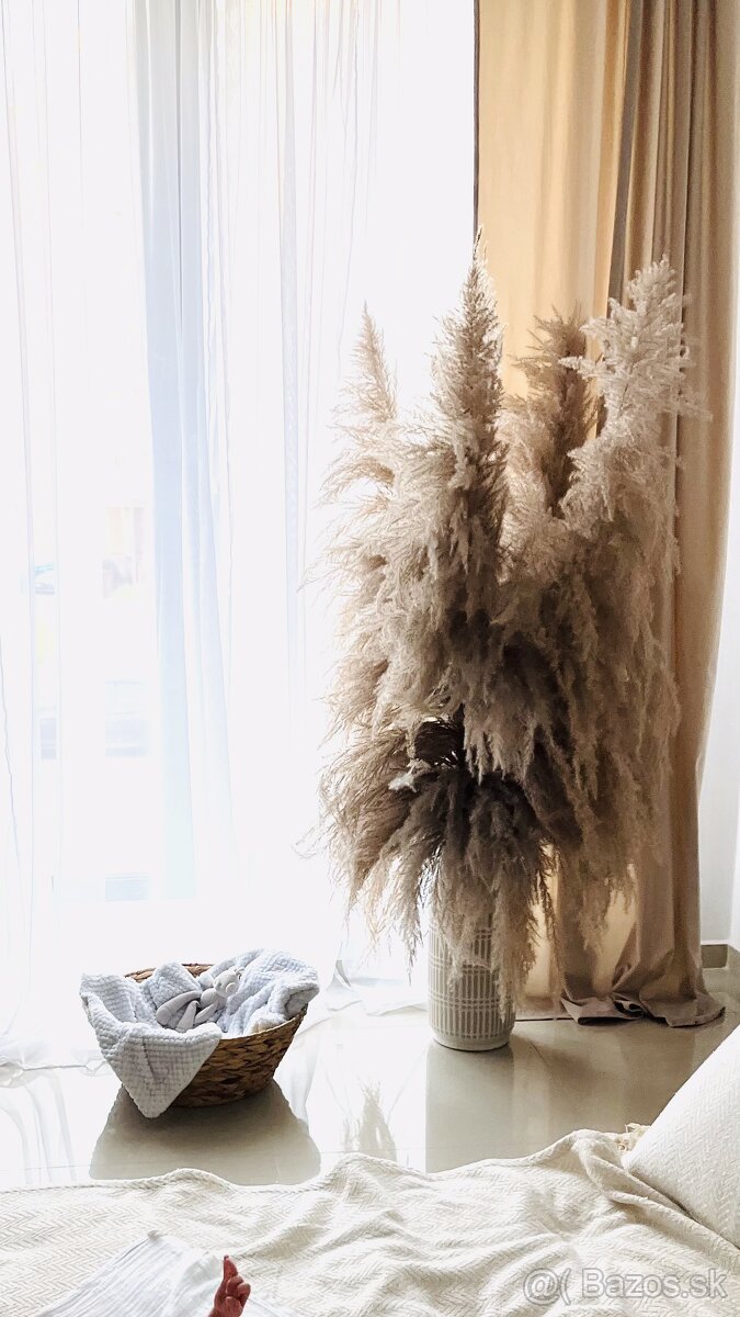 VYSOKÉ HUSTÉ PAMPASY - 4