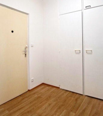 Predaj 1 izbové bytu - 4