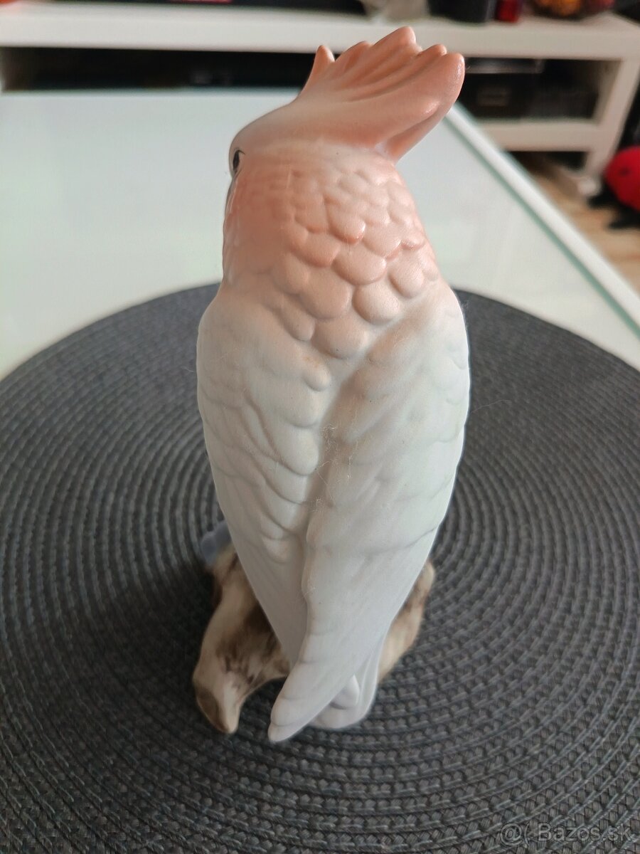 Papagáj Kakadu Royal dux - 4