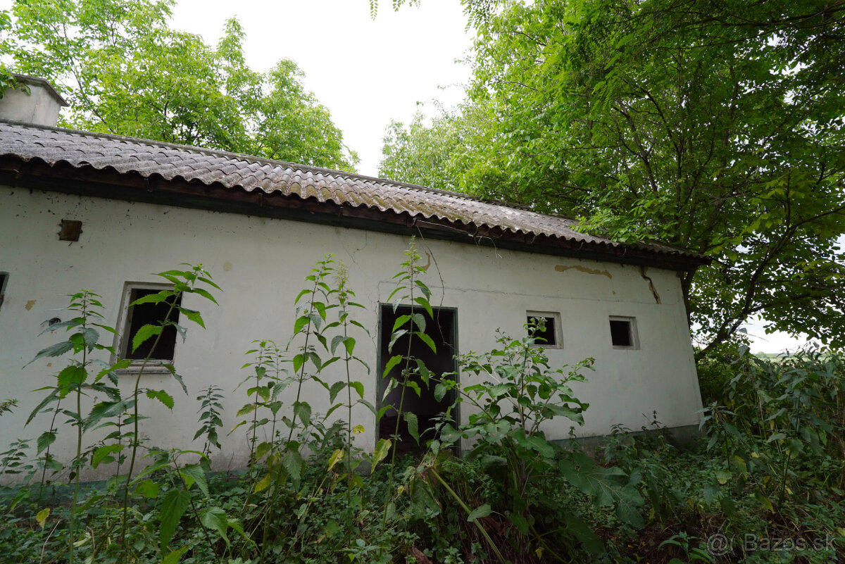 NA PREDAJ: USADLOSŤ NA SAMOTE S POZEMKOM (1ha) PRI OBCI OKOČ - 4