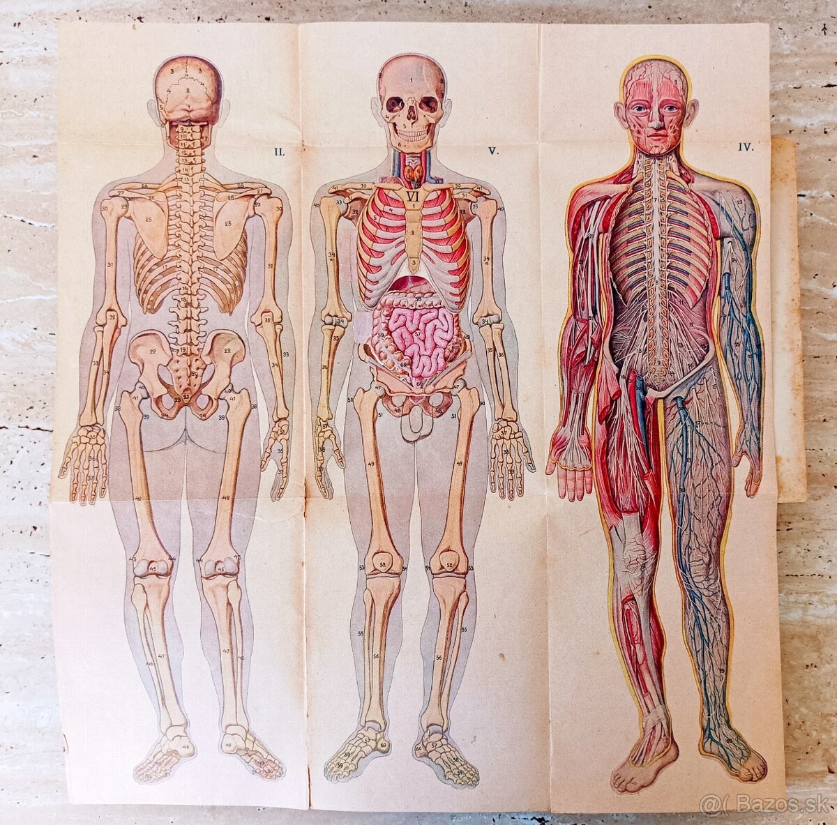 Staré lékařské knihy "Přírodní léčba a domácí lékař", 1923 - 4