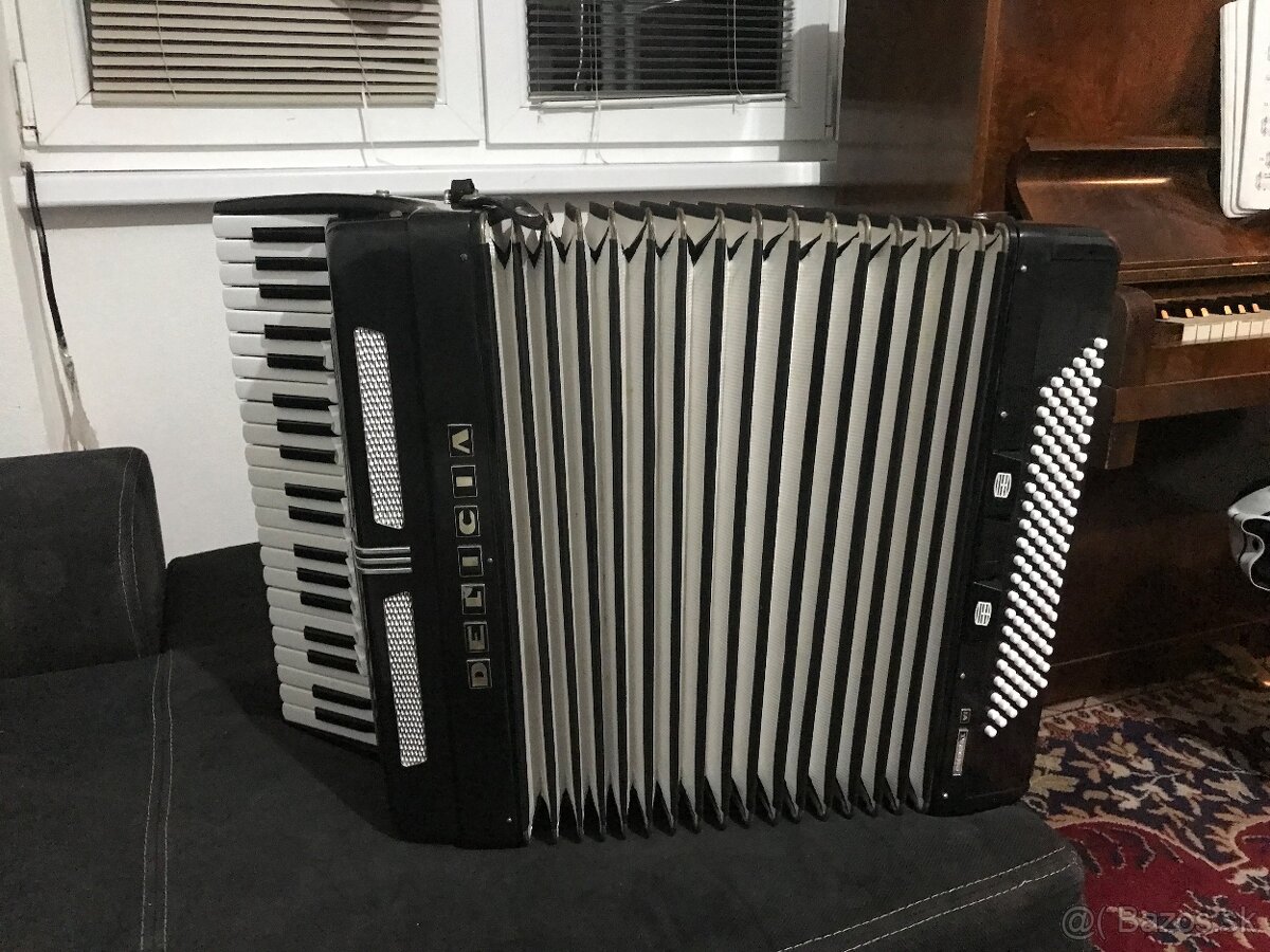 Akordeon delicia - 4