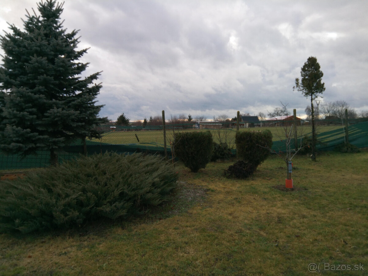 Prenajmem zahrahu v Nitre, časť Lukov Dvor - Parovske Haje - 4