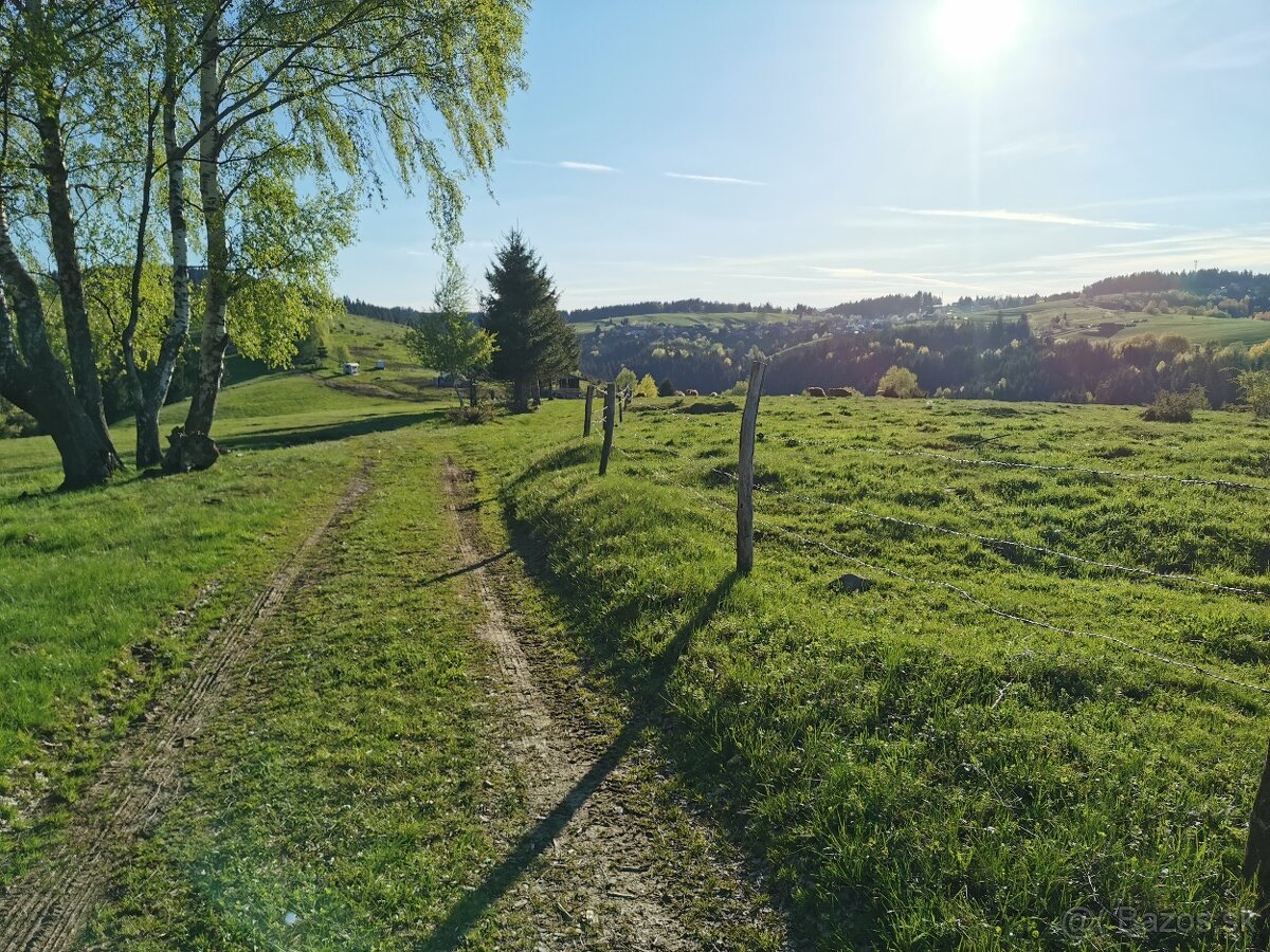 POZEMOK 12 000m2 na Samote v okolí Dreveníc, Potôčik, Elektr - 4