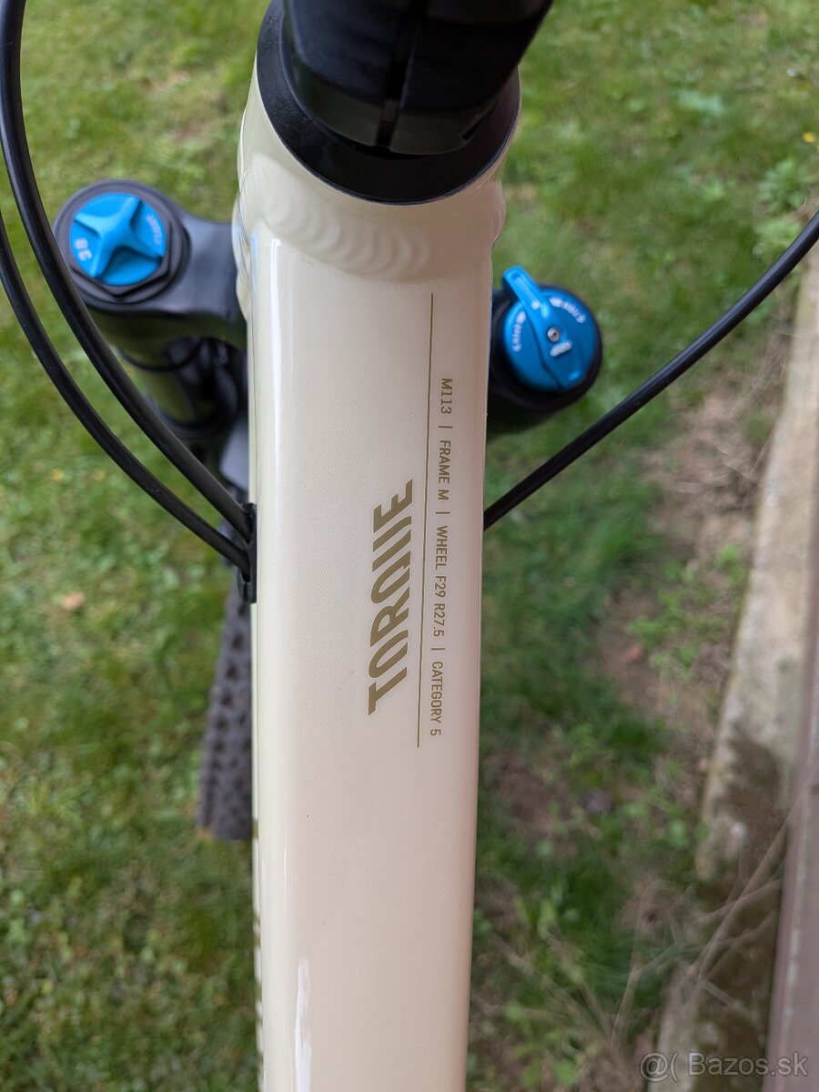 Canyon Torque Mullet AL - 4