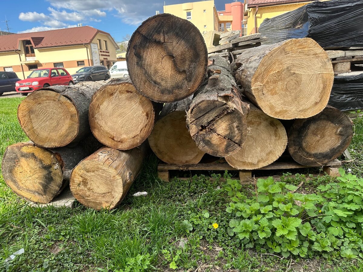 Predám kmene smrek - 4
