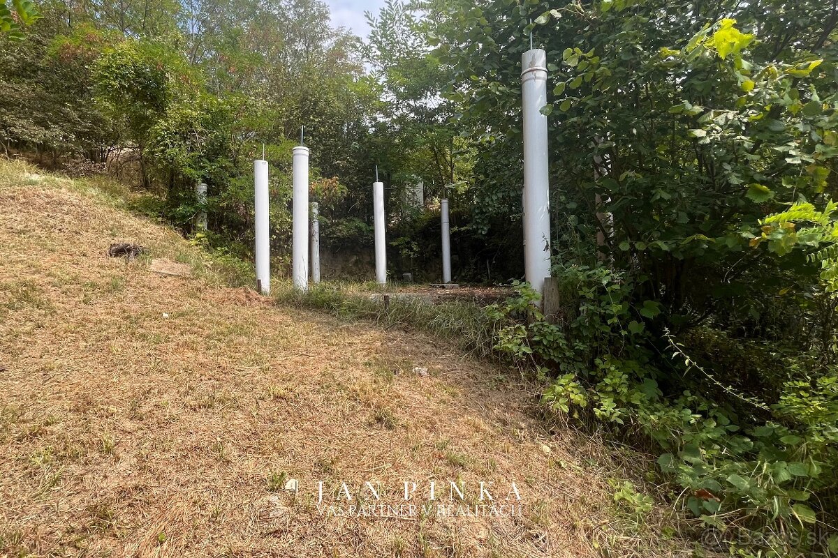 Záhrada s vybudovanou betónovou platňou na stavbu chaty - 4