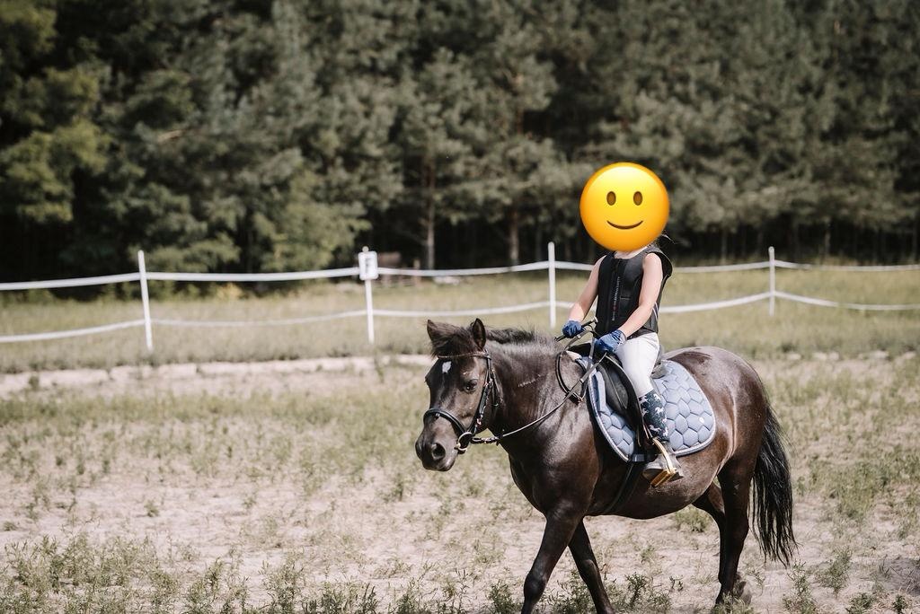 Poníky na predaj - 4