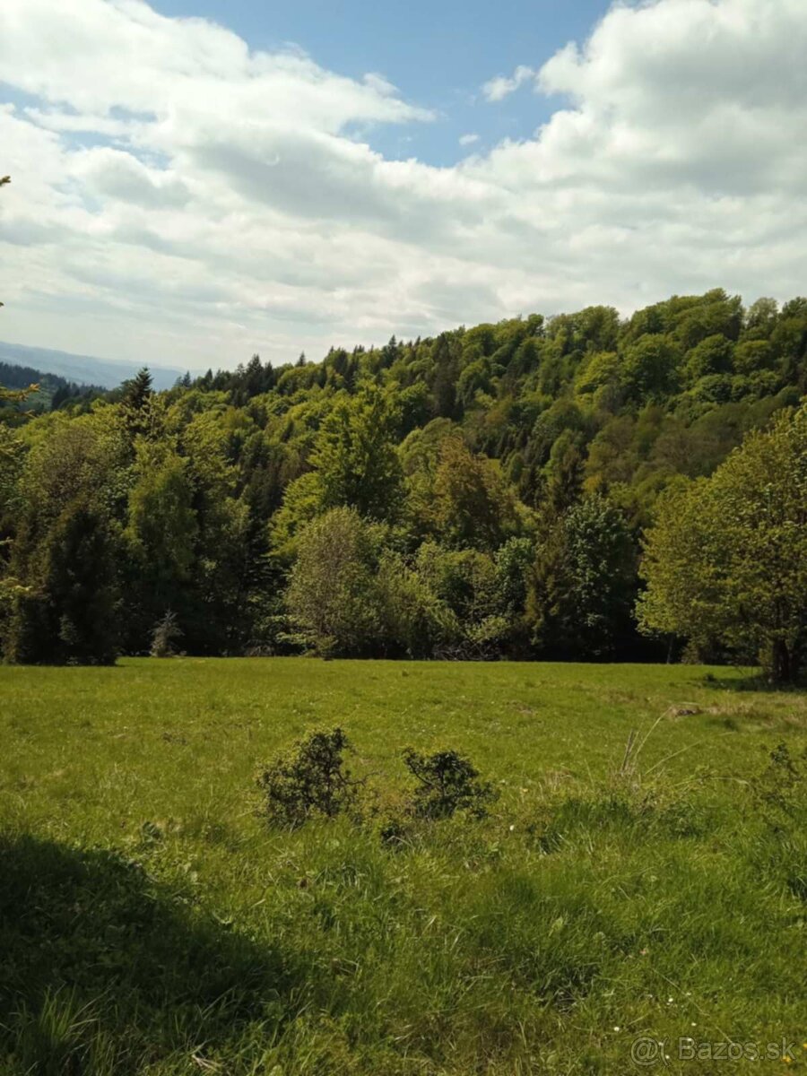 pozemok Oščadnica aj na stavbu chaty - 4