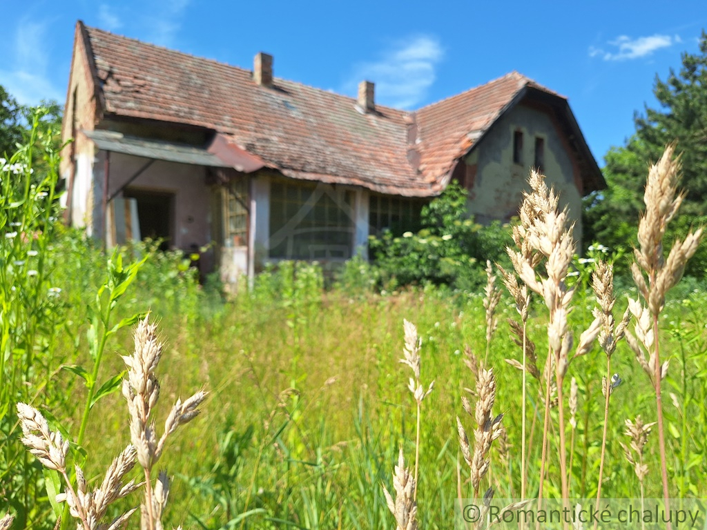 Pôvodný dom na rozľahlom vyše 6000m2 pozemku v kľudnej čas - 4