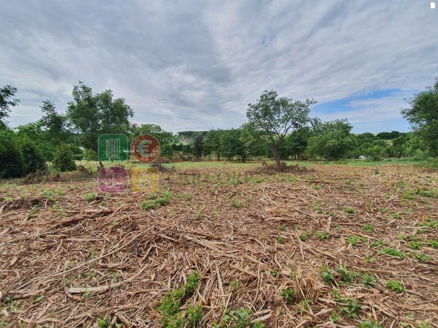Predaj pozemky 7998 m2, Nitra- Čermáň, šírka 37m, všetky IS - 4