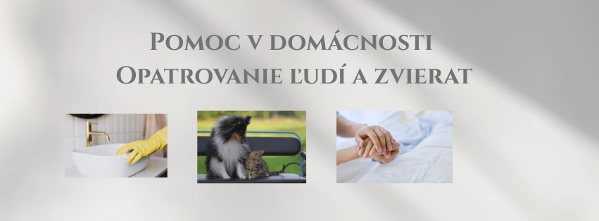 Spoľahlivá pomoc v domácnosti - 4