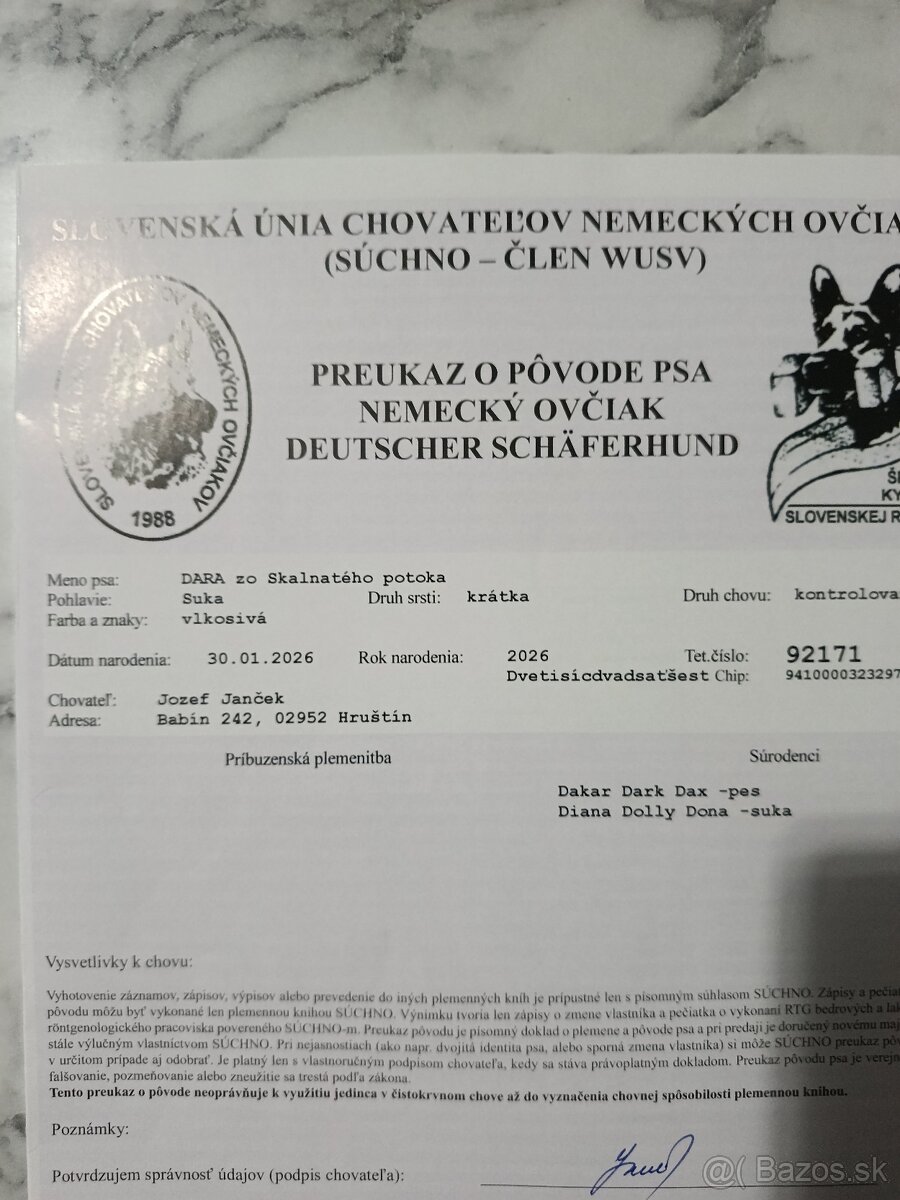 Nemecký ovčiak - 4