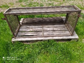 Výlet na poštové holuby - 4