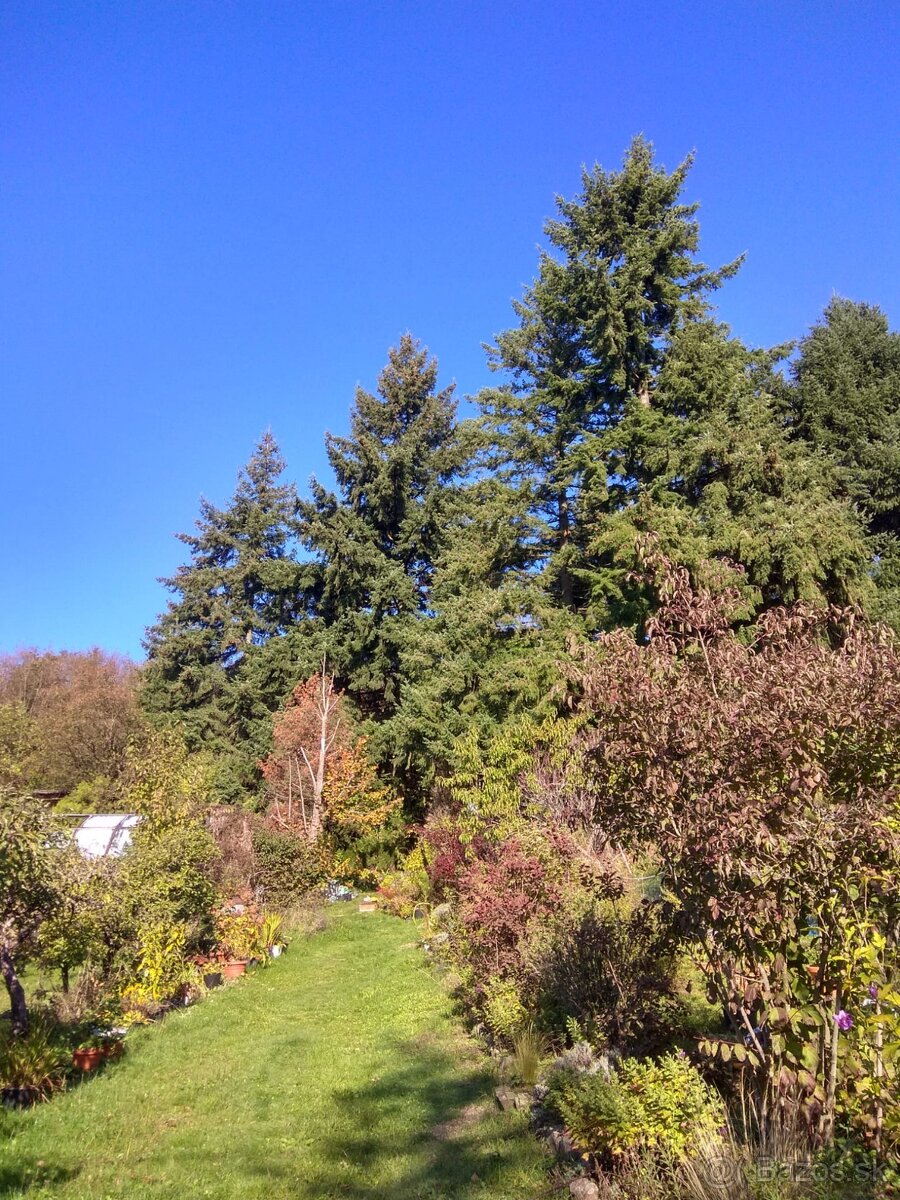 Predám chatu v Harmónii s krásnym výhľadom - 4