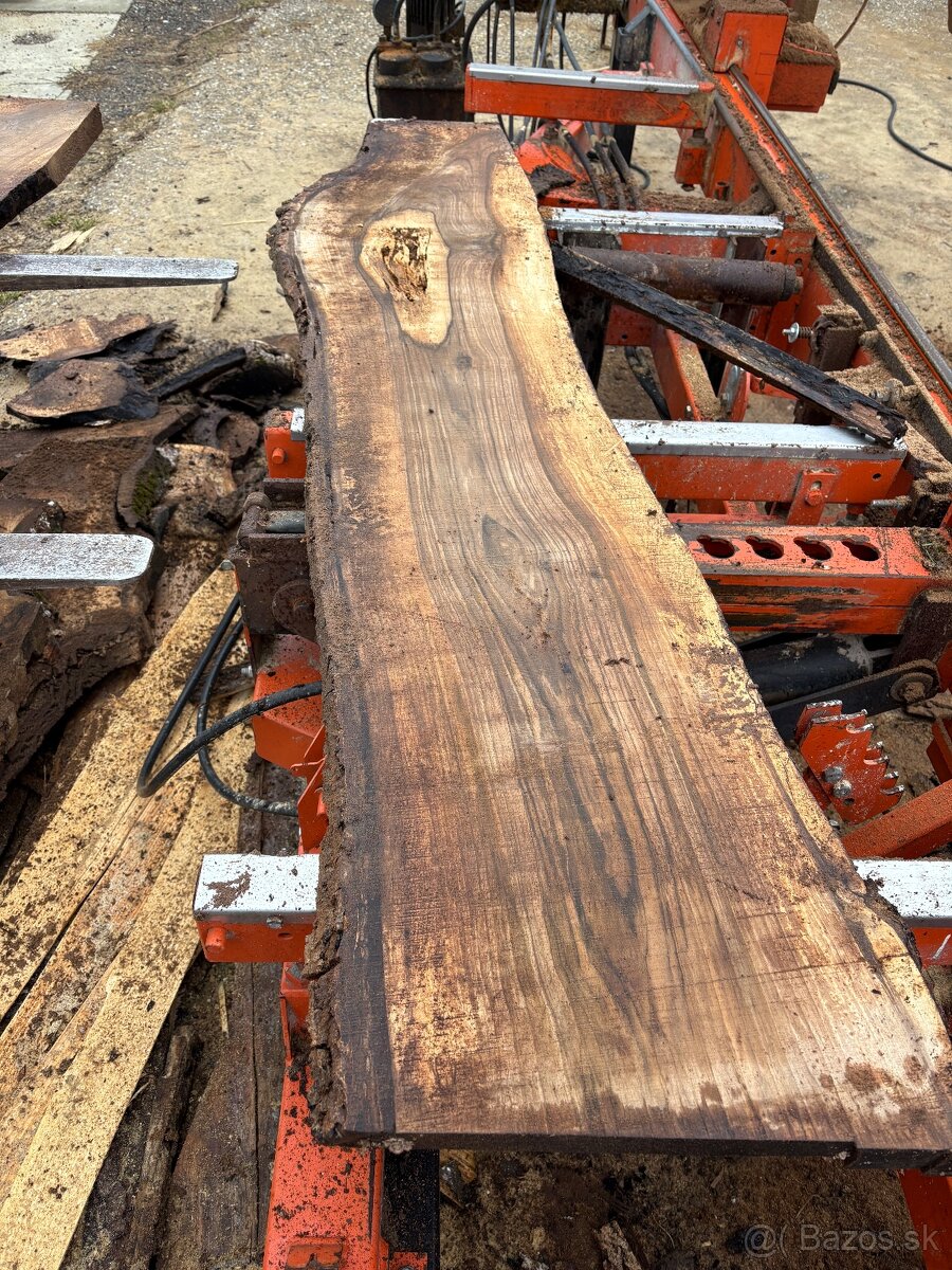 Orechové fošne - 4