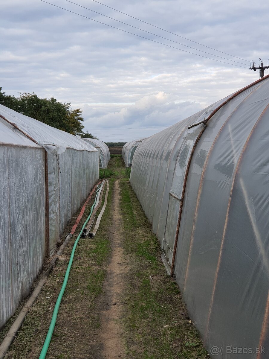 Fóliovník železná konštrukcia - 4