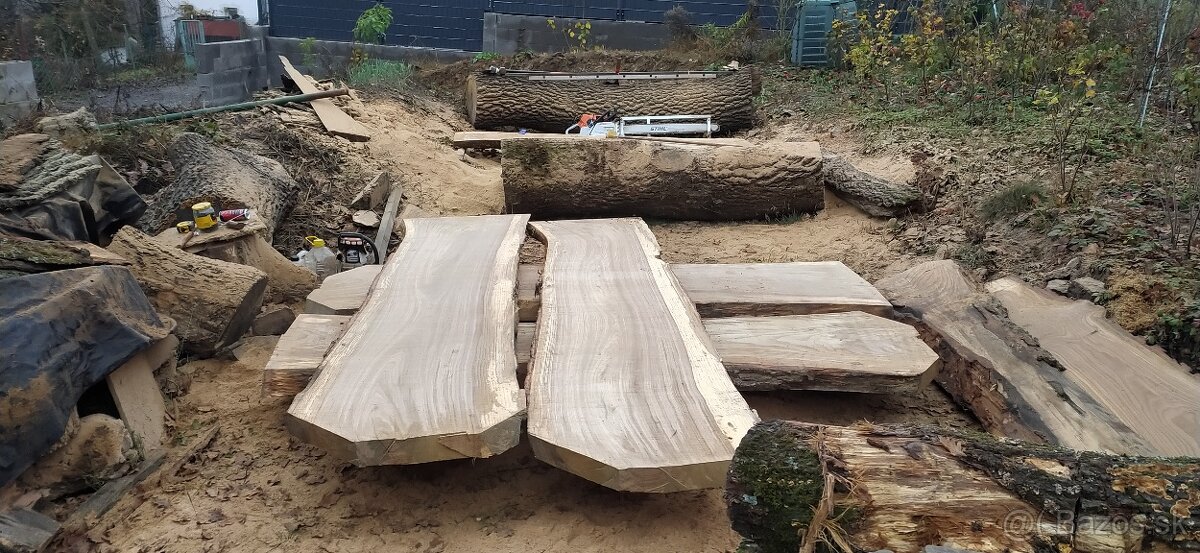 Priečne rezanie kmeňov stromu - 4