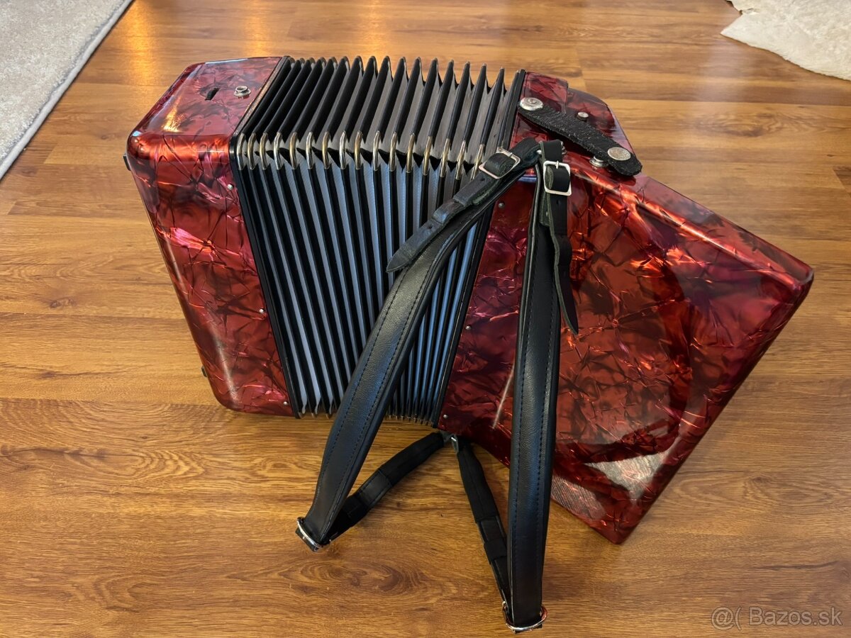 Akordeon DELICIA 60 bas - 4