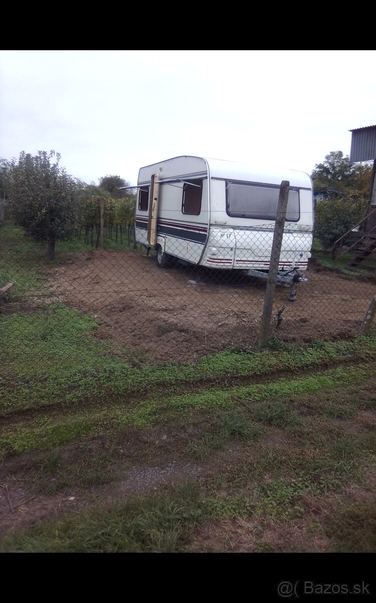 Ekologická BIOvinica bez postrekov+elektrina,chata,pivnica - 4