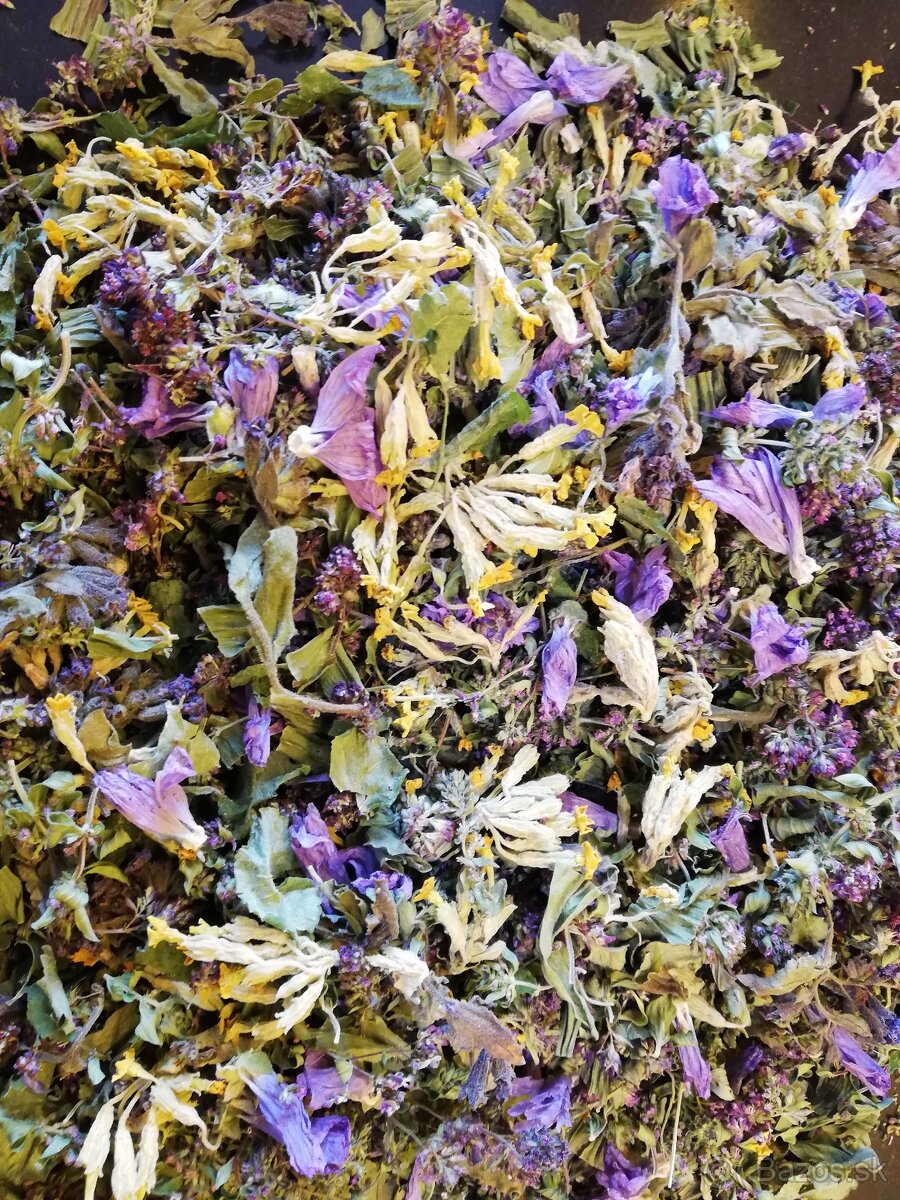 Predám sušené bylinky - 4