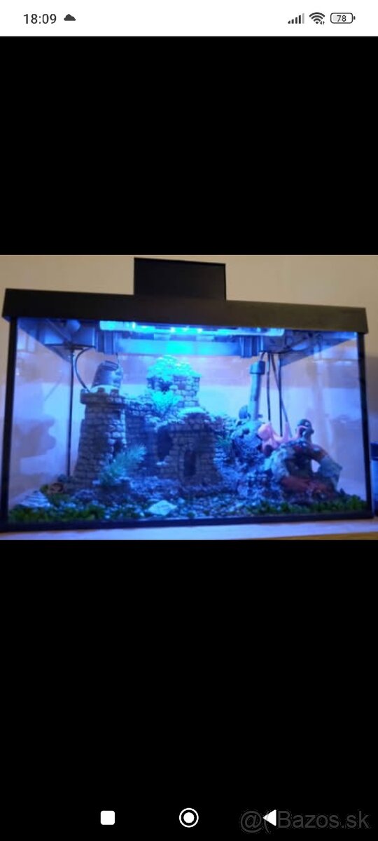 Akvário - 4