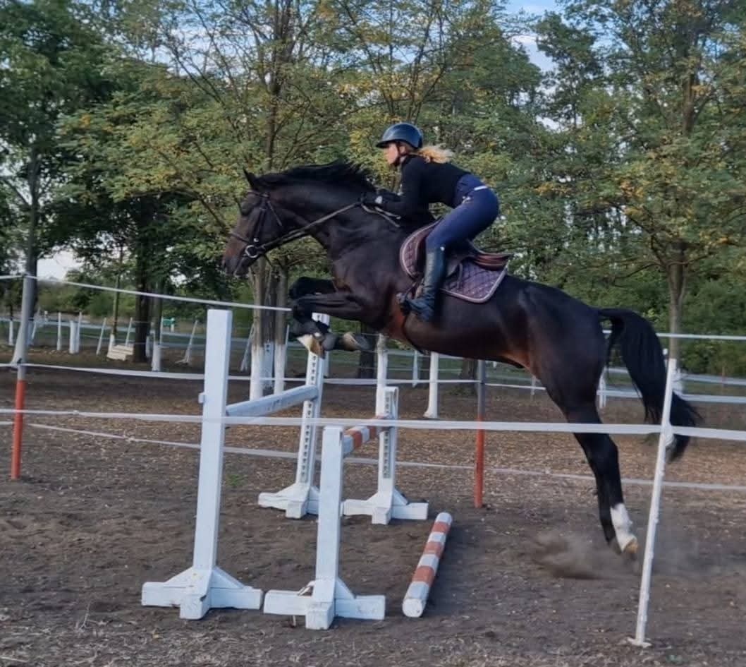 Cornet obolensky & Diamant De semilly - 4