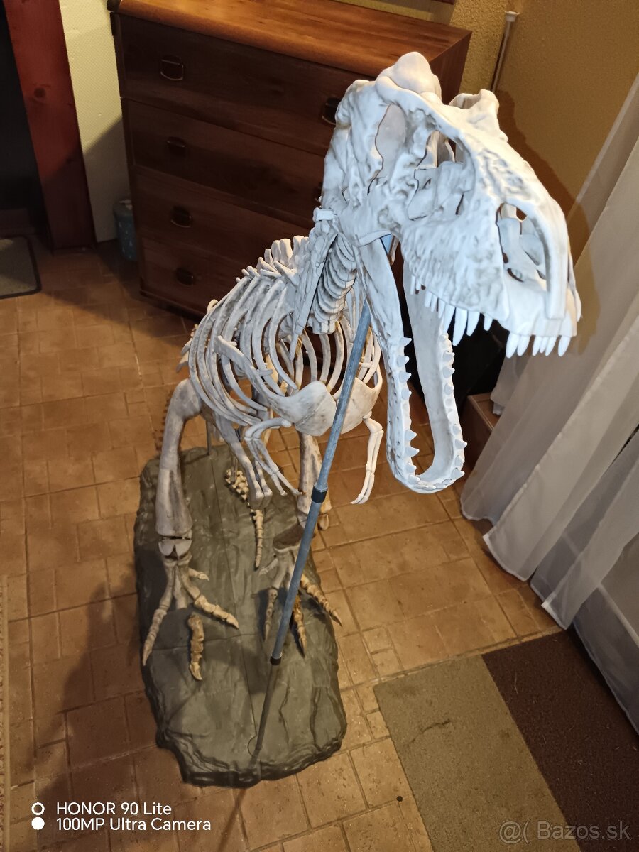 Tyranosaurus Rex - 4