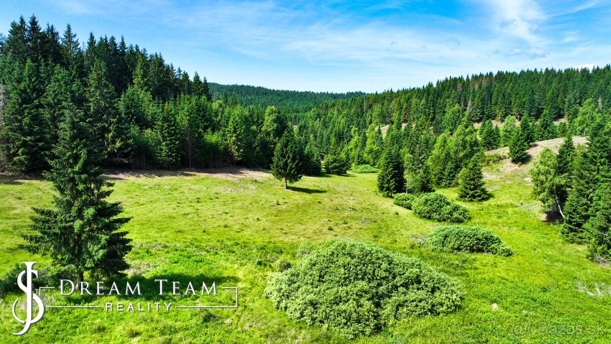 Stavebný pozemok 2.2ha v krásnom prostredí Látky okr. Detva - 4