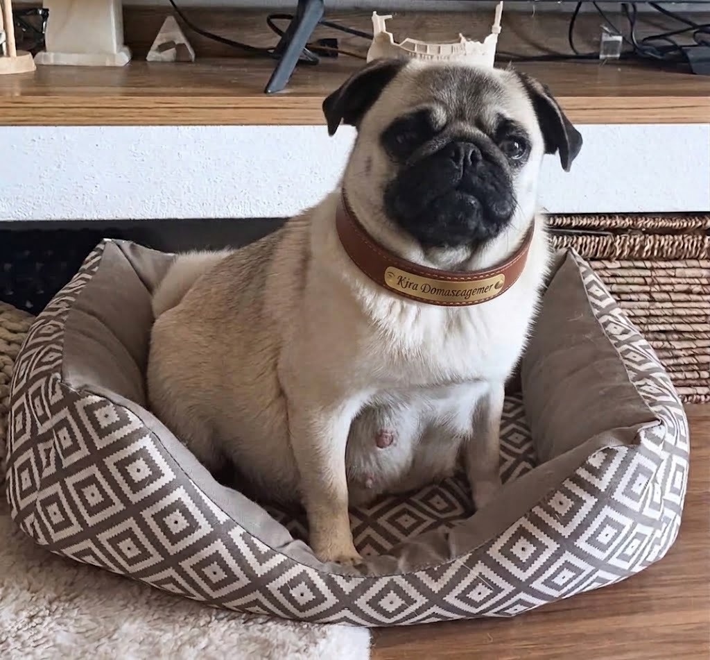 MOPS s PP - 4