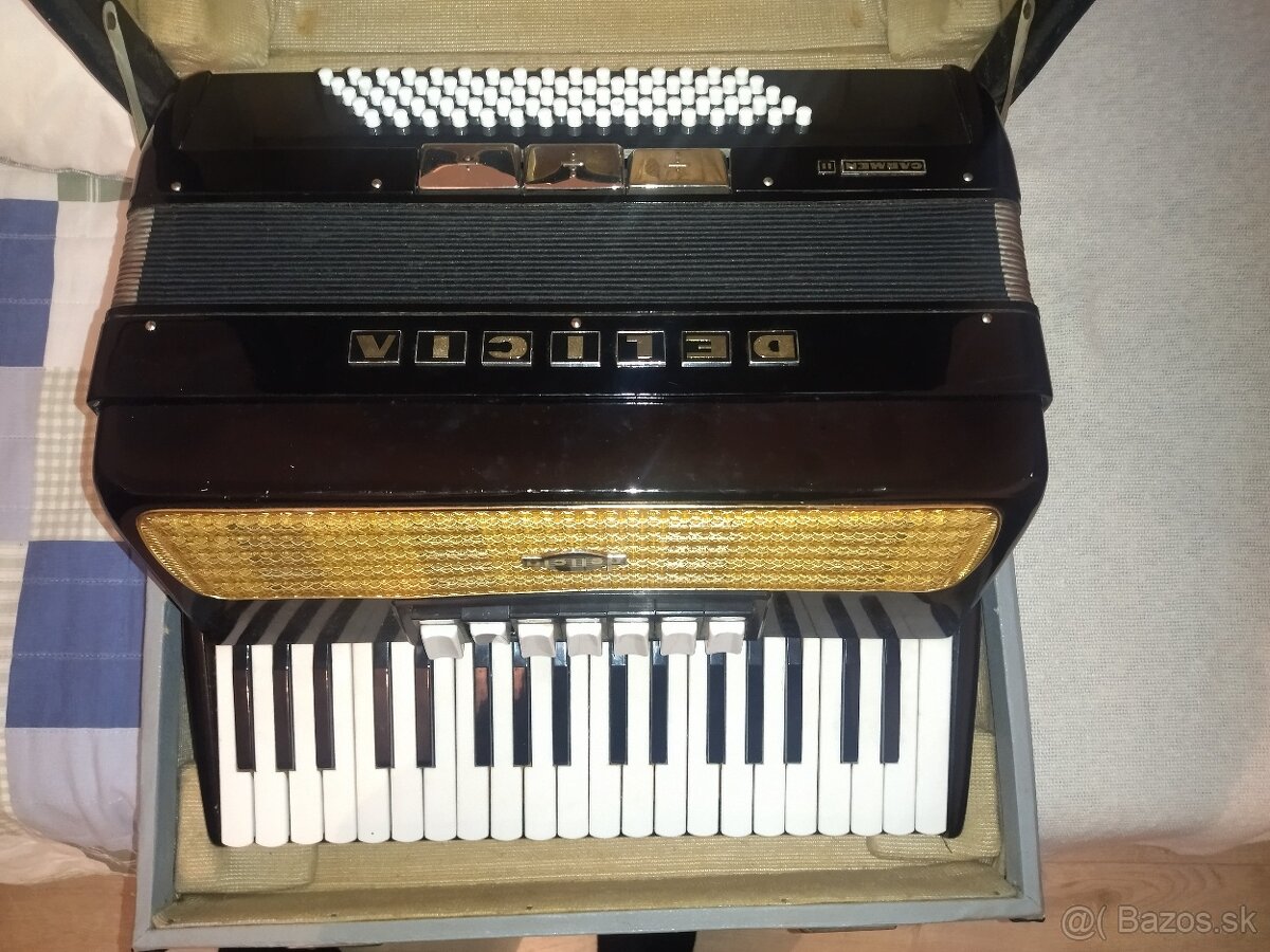 Harmonika Carmen Delicia - 4