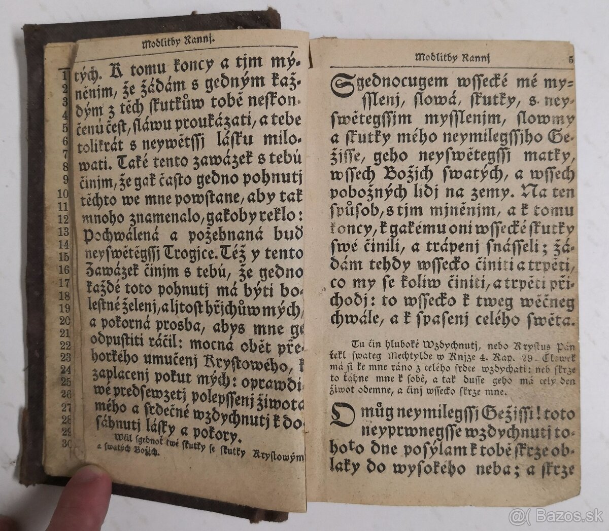 Stepná zahradka 1850 - 4