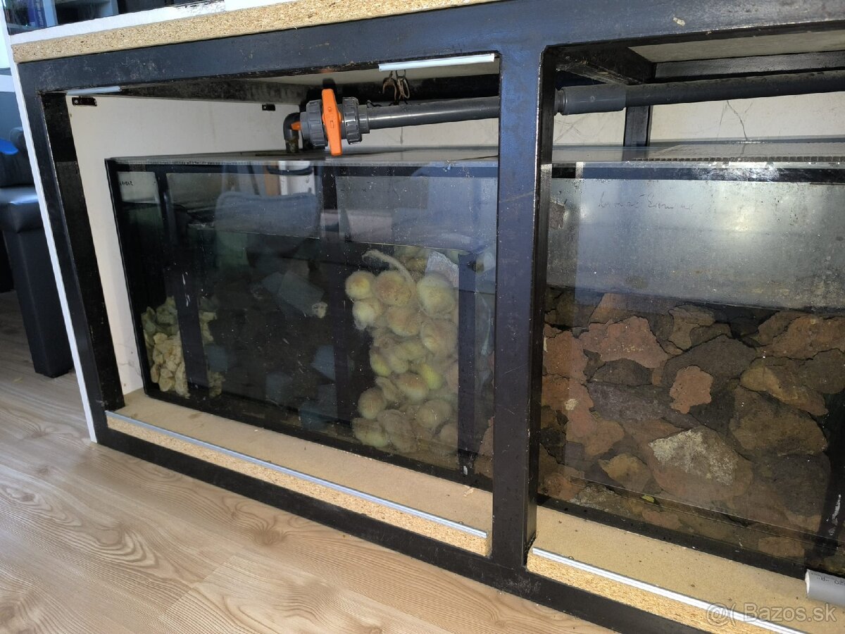 Akvárium 1000L cichlidy - 4