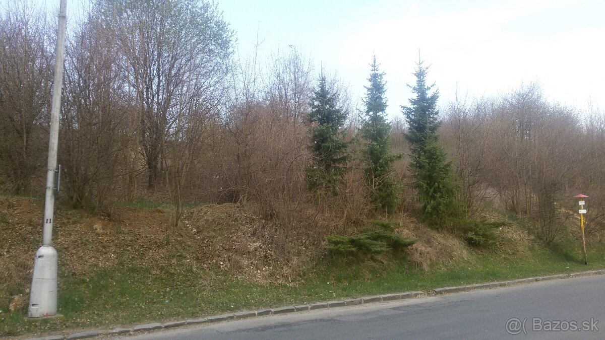 Pozemok Sásová,pri hl. asfalt ceste na parkovisko.Pieninská - 4