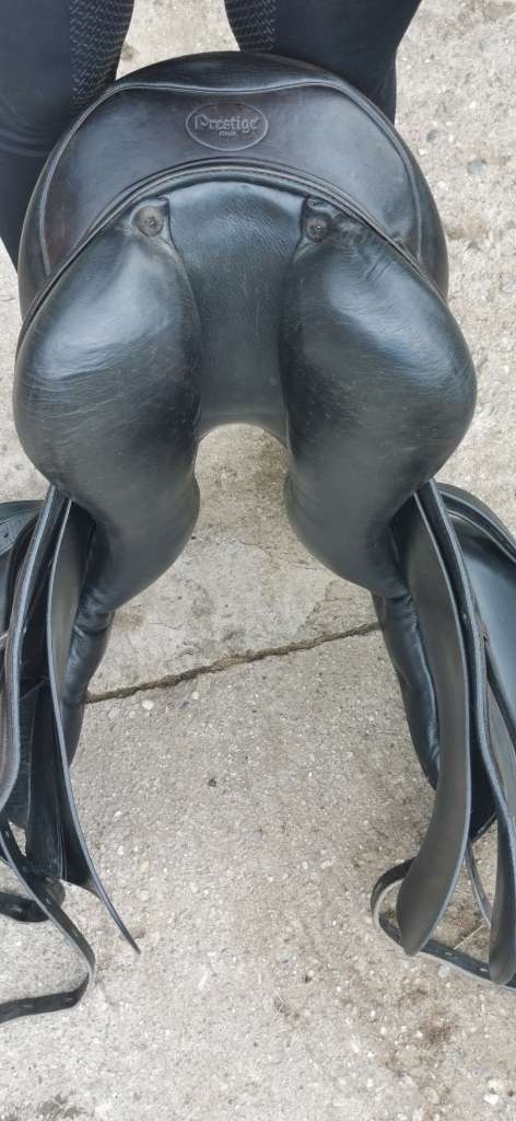 Prestige optimax drezurne sedlo - 4