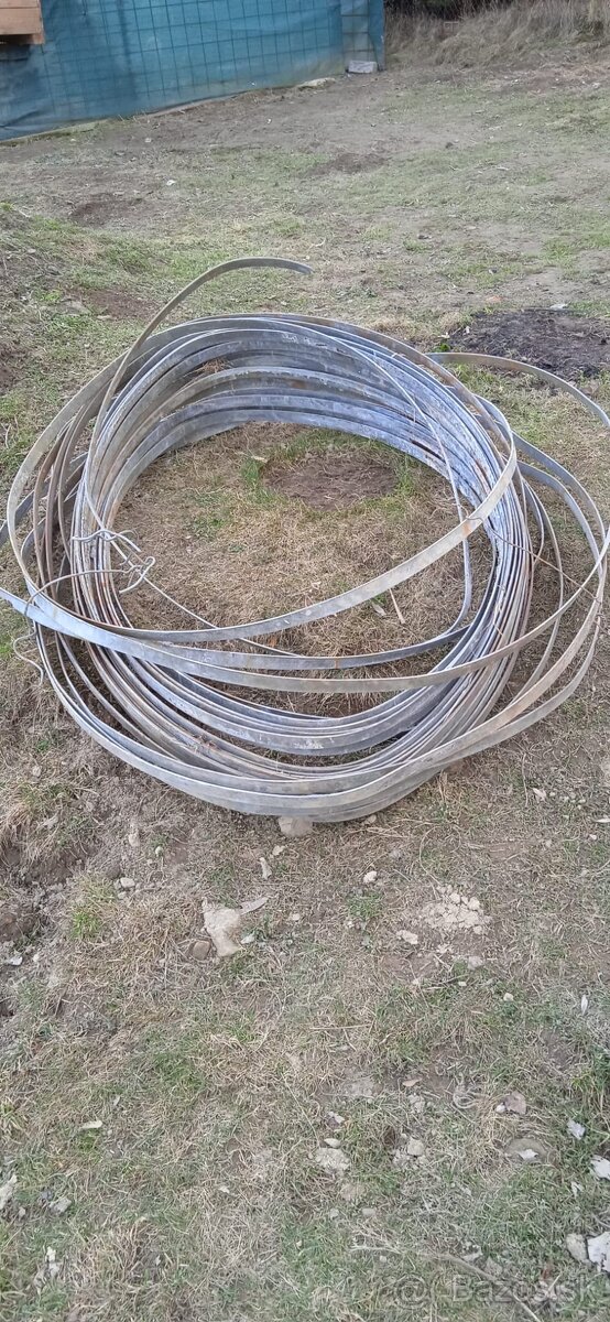 Zemniaca pásovina - 4