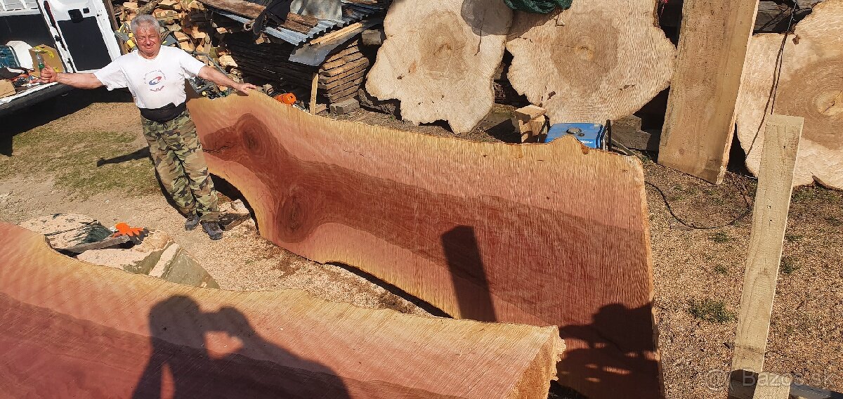 Platanove drevo. - 4