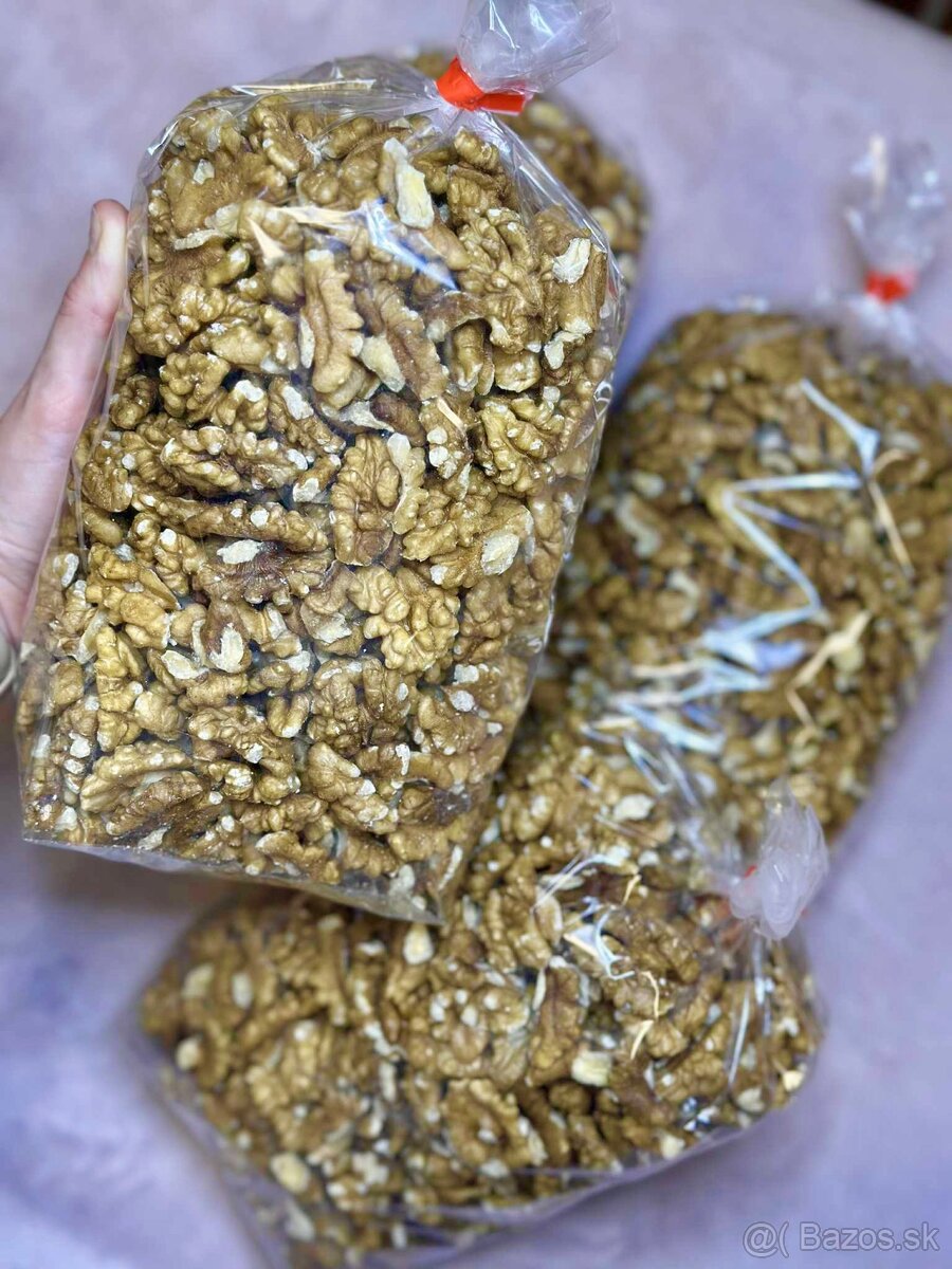 Orechy vlašské tohtoročné - 4