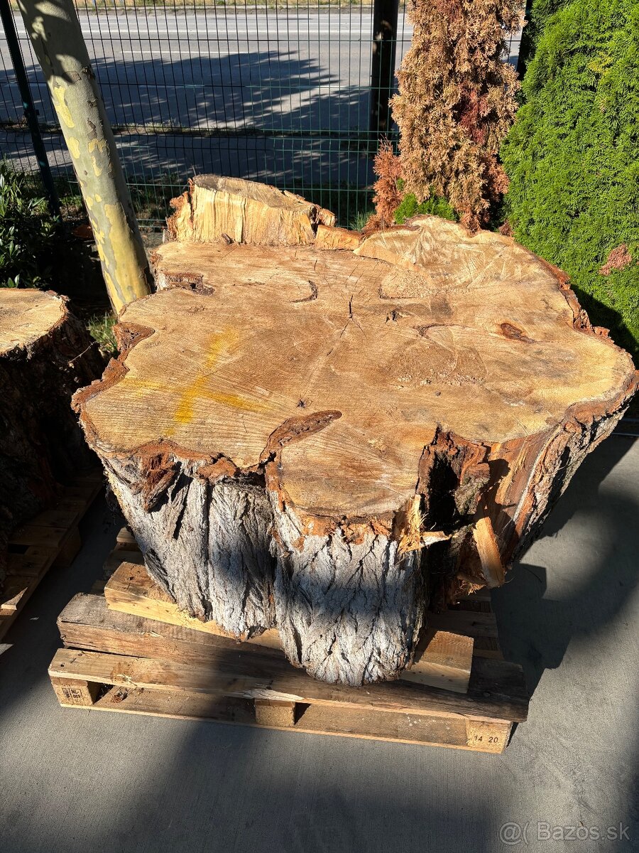 Drevené koláče - 4