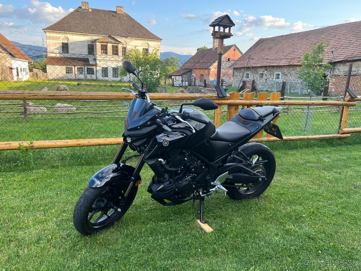 Yamaha MT03 - 4