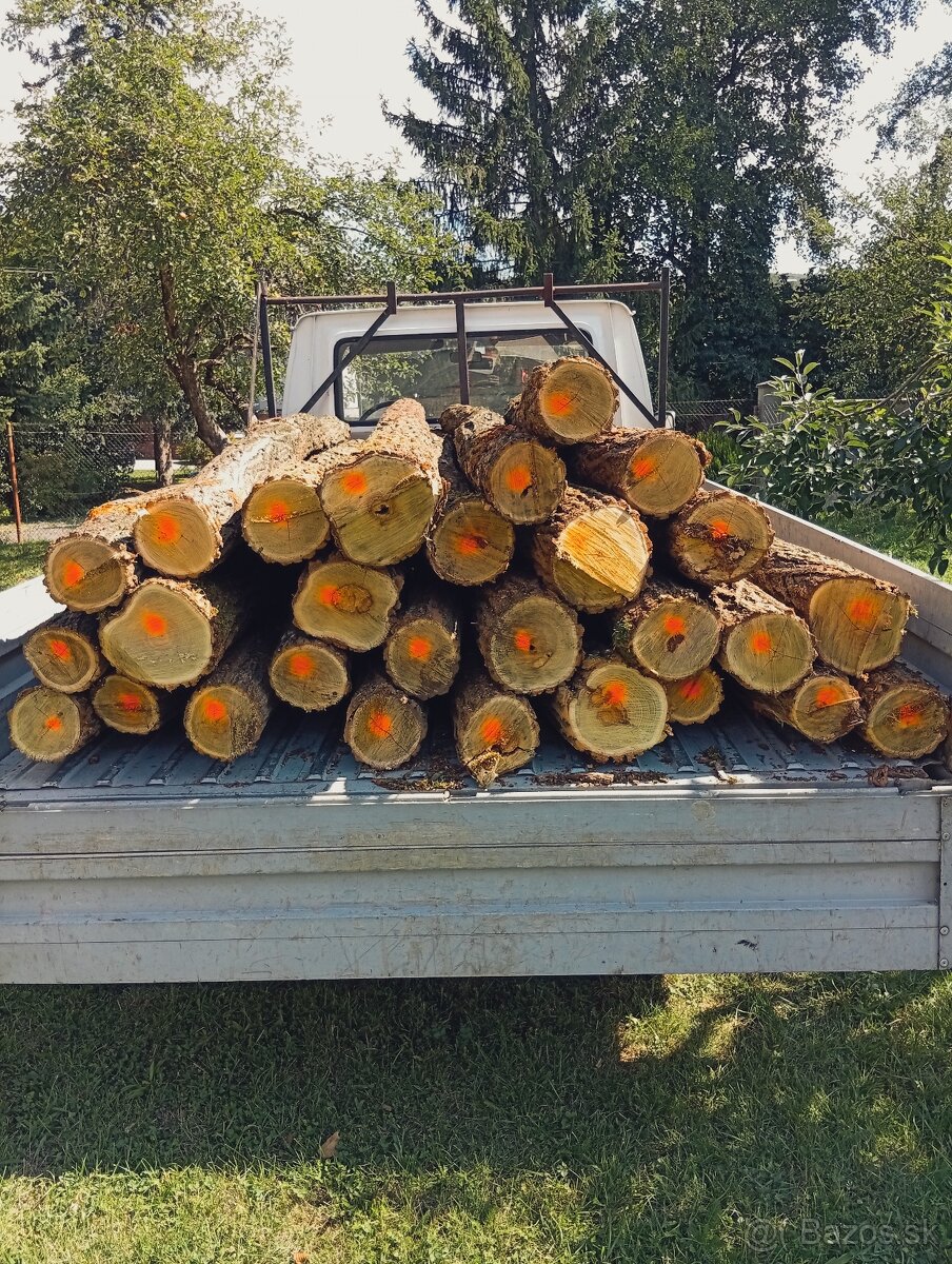 Agát, Agátové ploty - 4