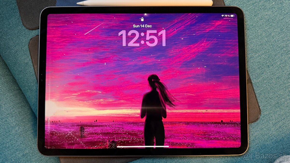 iPad Pro 11-inch 2nd gen. 256GB WiFi +pencil - 4