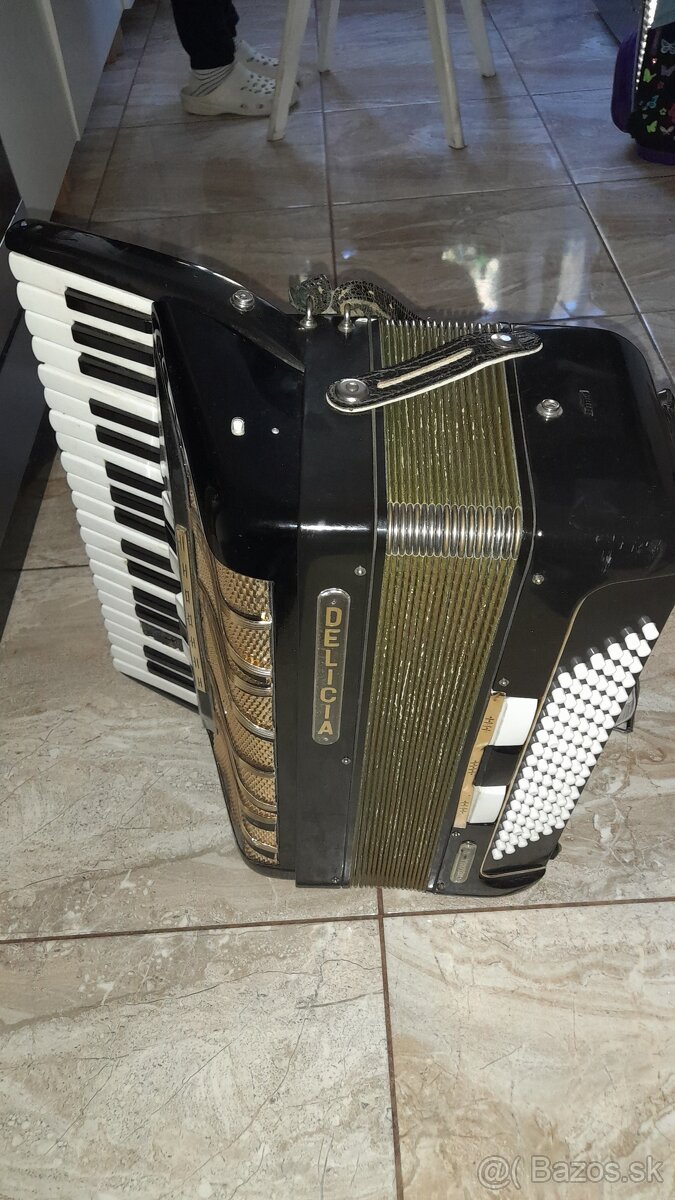Predam zachovaly akordéon - 4