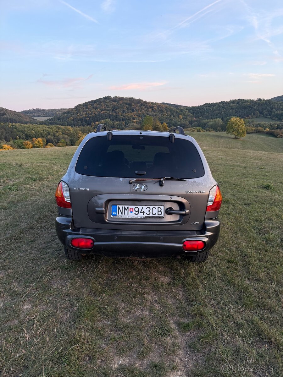 Hyundai Santa Fe 2.0 92kw 2004 - 4