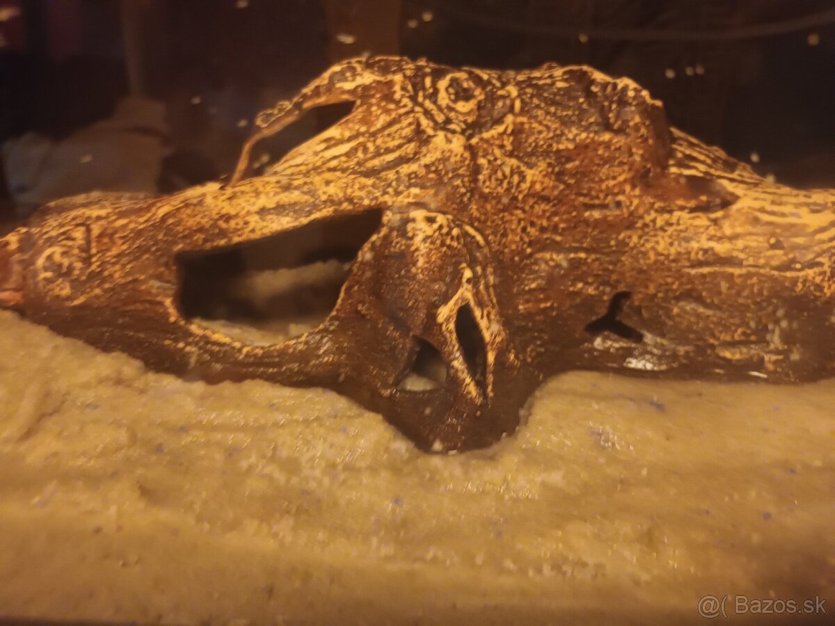 Predavam akvarium koplet ako je na fotke z filtrom ohrevac - 4