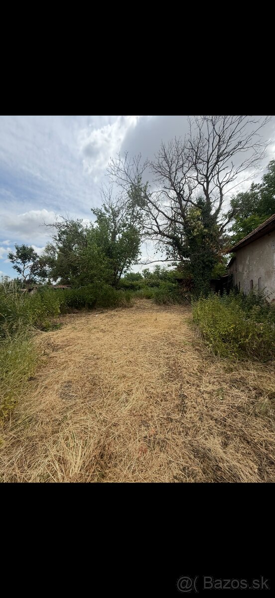 Dom s pozemkom - 4