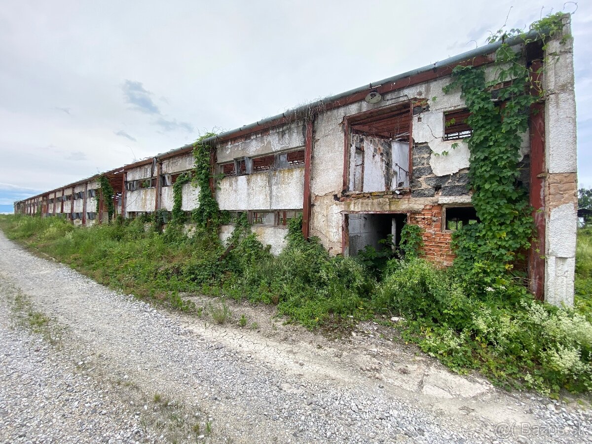 Hala s oceľovou konštrukciou 2878m2 , Rešica, sklad - výroba - 4