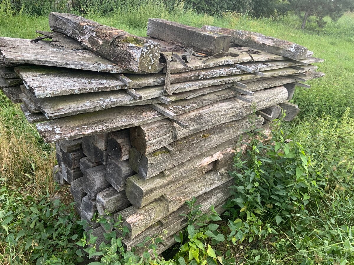 Staré drevo dub - 4