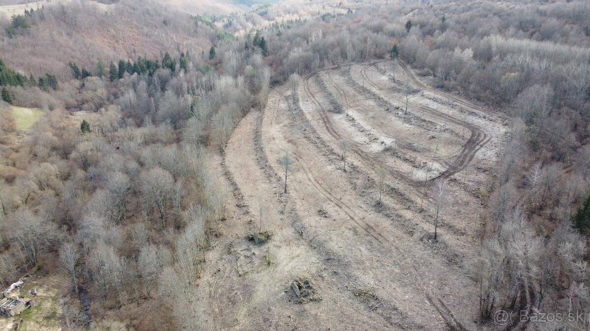 Predám pozemok (2,9ha) so súpisným číslom v obci Stará Huta - 4