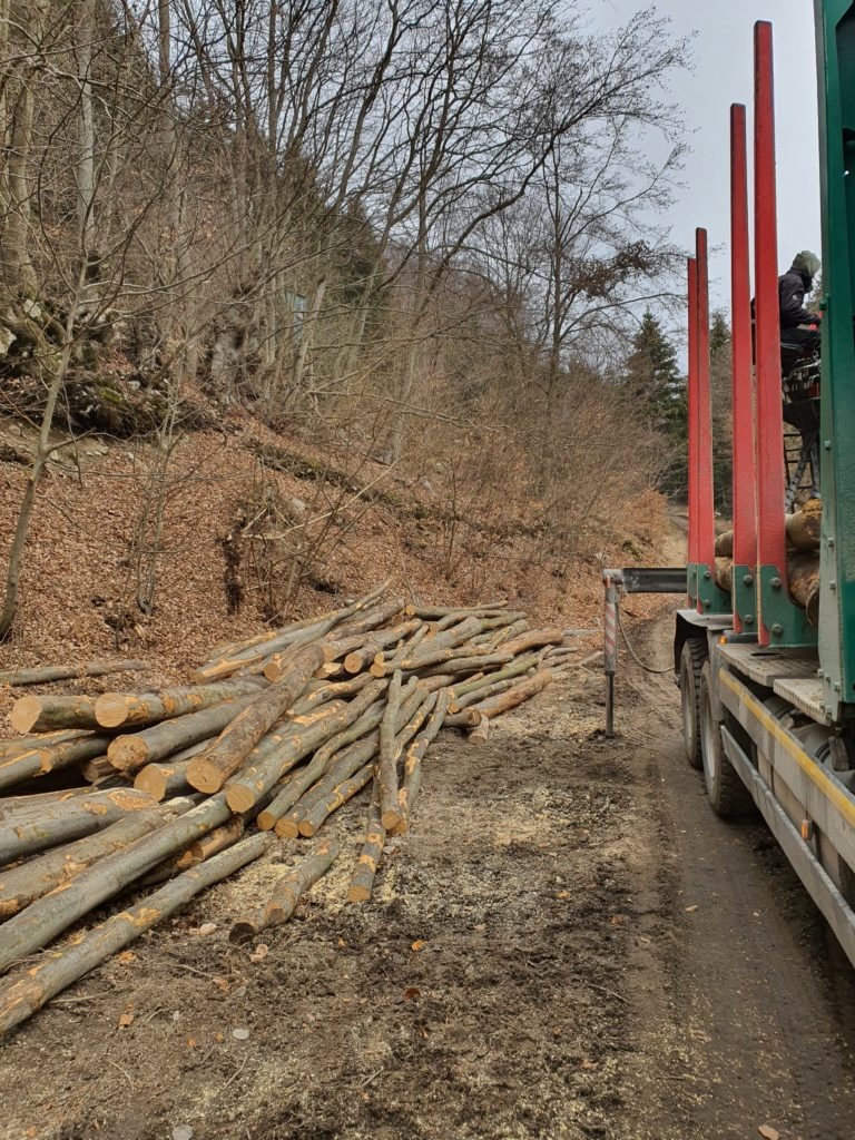 Predám palivové drevo buk - 4